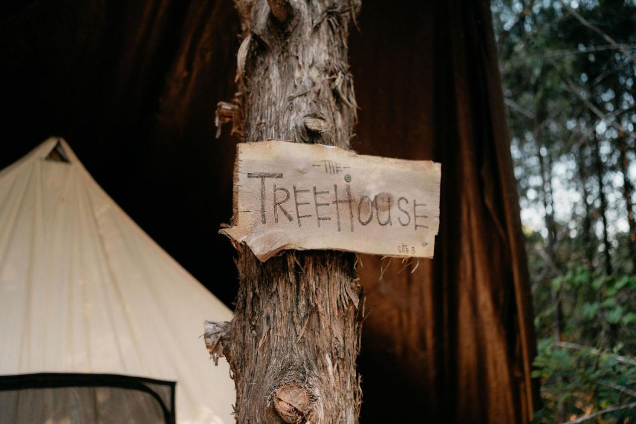 ホテル Treehouse Cozy Glamping Site ブランソン エクステリア 写真